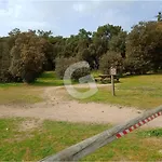 Maison 4 Pers. En Foret, Proche Plages Et Activites, - Fr-1-194-394 Prázdninový dům Saint-Vincent-sur-Jard