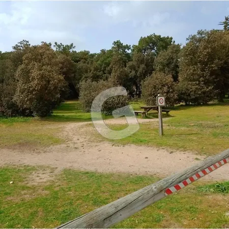 Maison 4 Pers. En Foret, Proche Plages Et Activites, - Fr-1-357-256 בית נופש סן-ונסן-סור-ז'אר